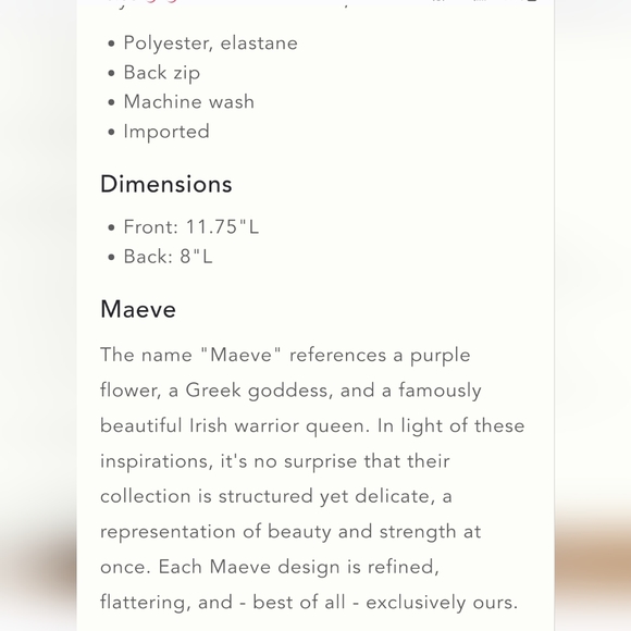 Maeve Silver Corset - NWT - Picture 4 of 5